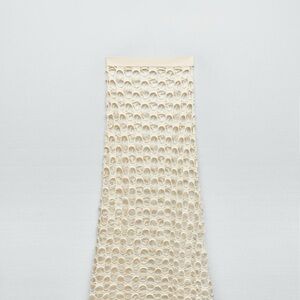 Zara Mesh midi skirt
